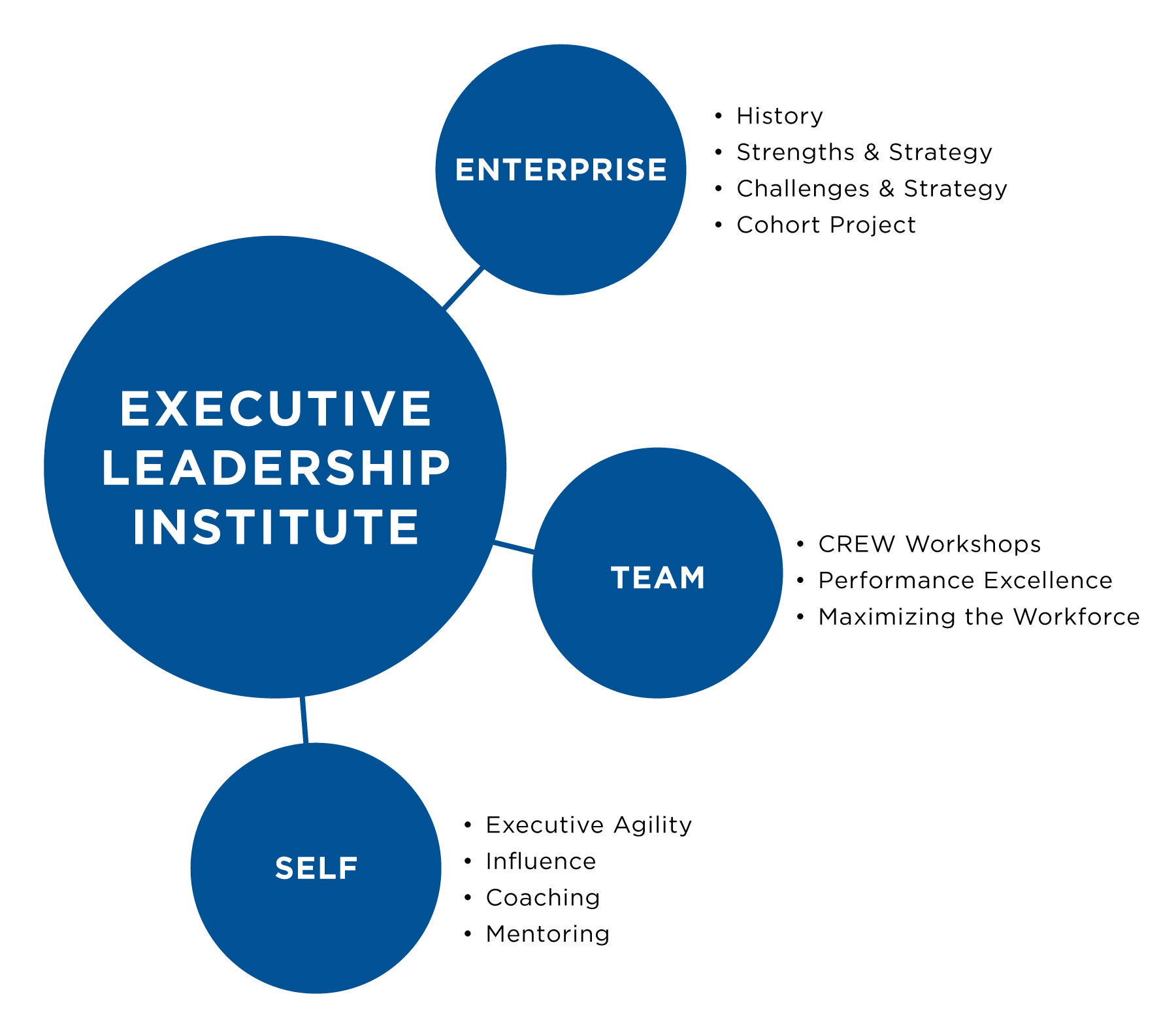 Executive Leadership Academy program framework diagram.